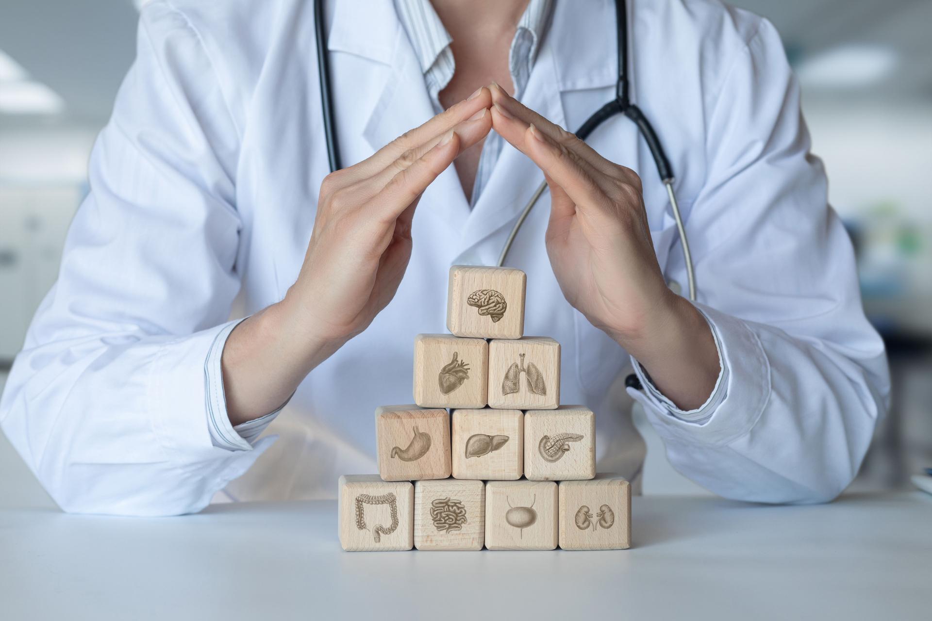 Protective gestures of the doctor for the health of the organs.